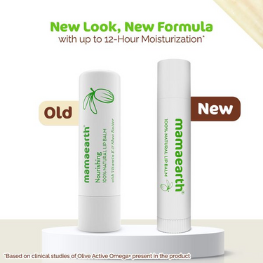 https://cdn.shopify.com/s/files/1/1857/6931/files/download_-_2024-12-18T172403.614.png?v=1734522868
